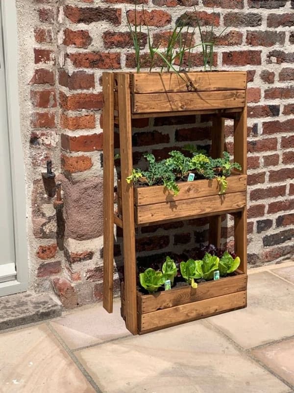 Charles Taylor Trading Regular Herb Garden Planter Brown