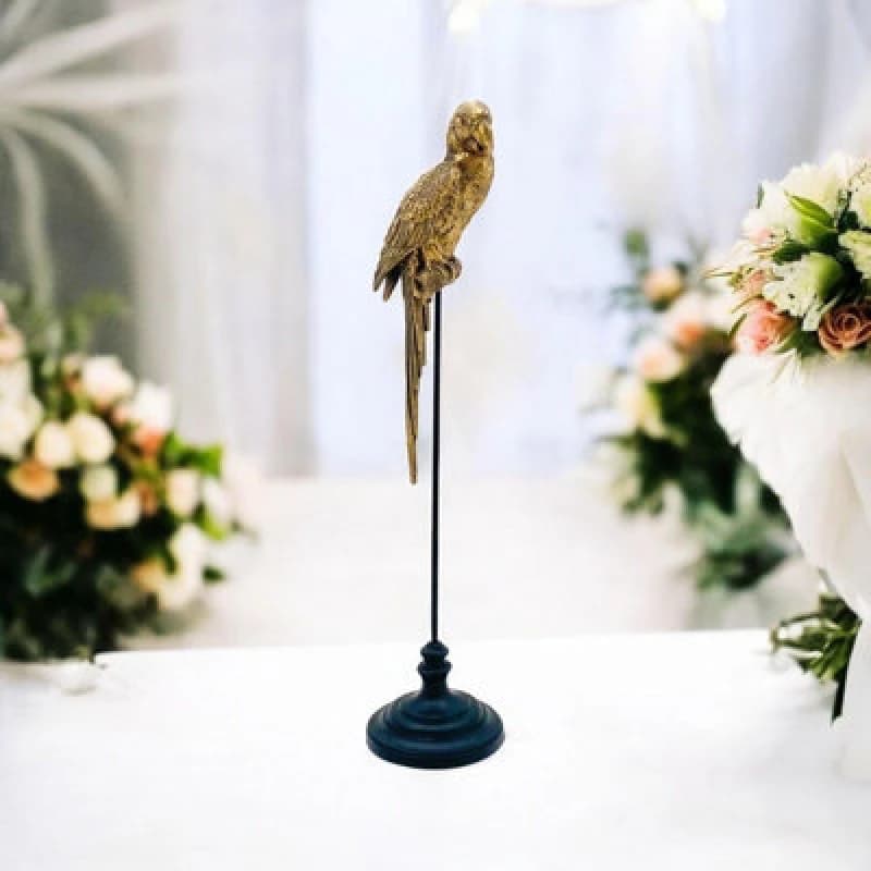 MSL 98CM PARROT