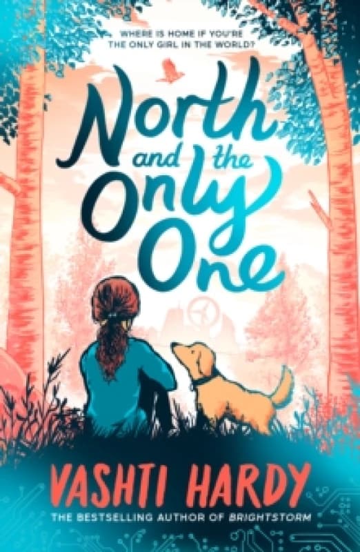 North and the Only One Paperback / softback