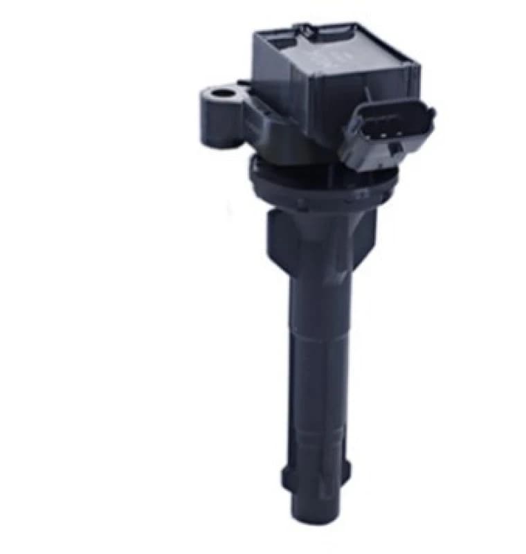 DELPHI GN10203-12B1 Ignition coil Coil,ignition (689)