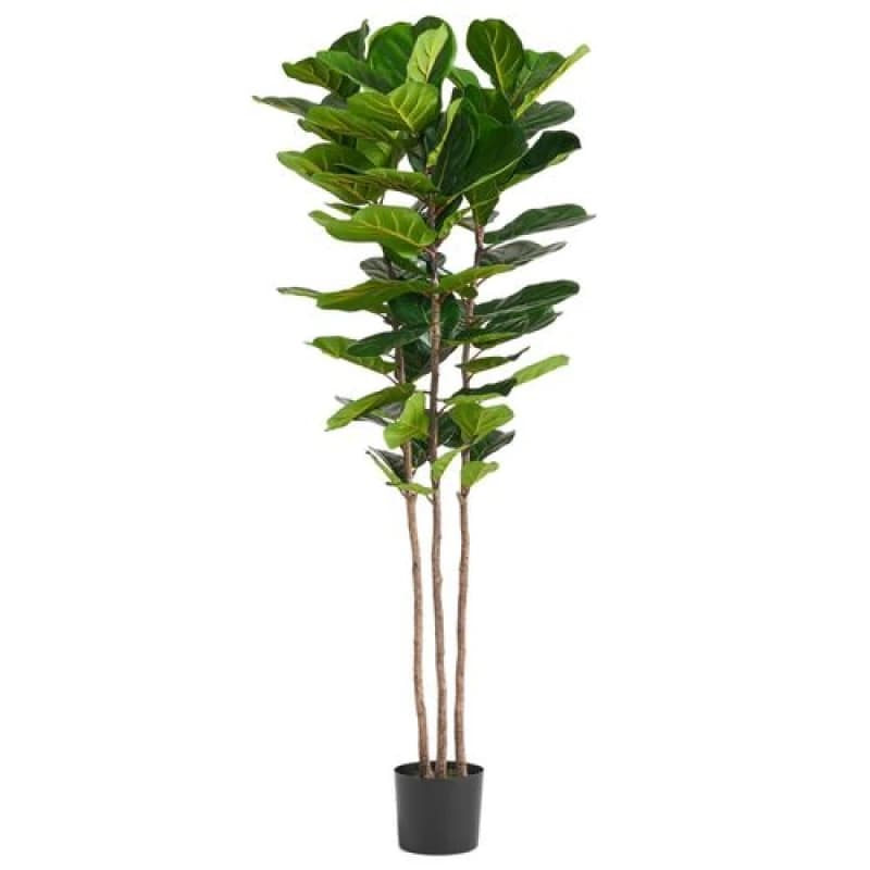 Leaf Large Fiddle Leaf Fig Tree Artificial 180cm Premium Plant Green