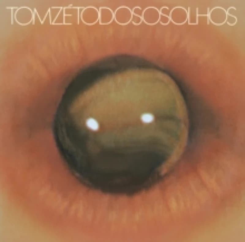 Todos os olhos Vinyl
