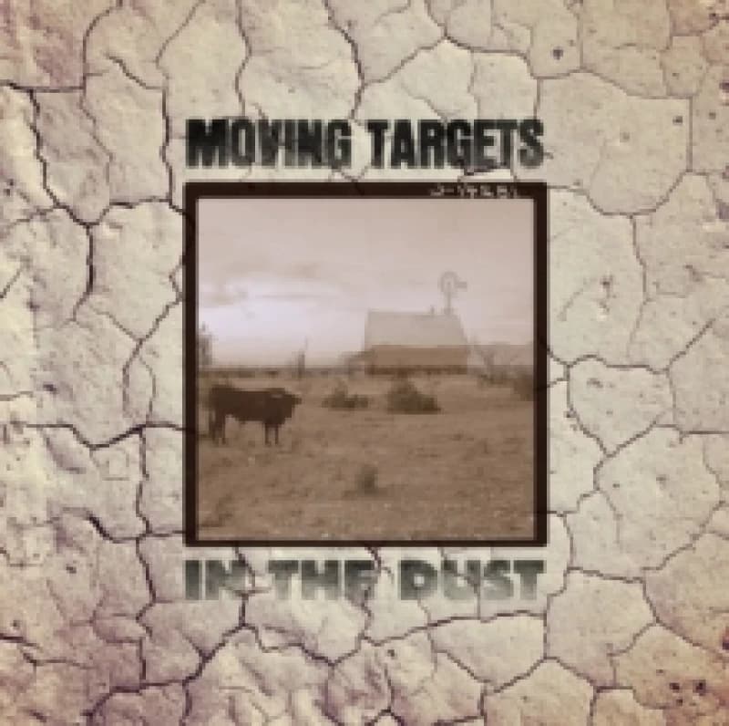 In the dust Vinyl