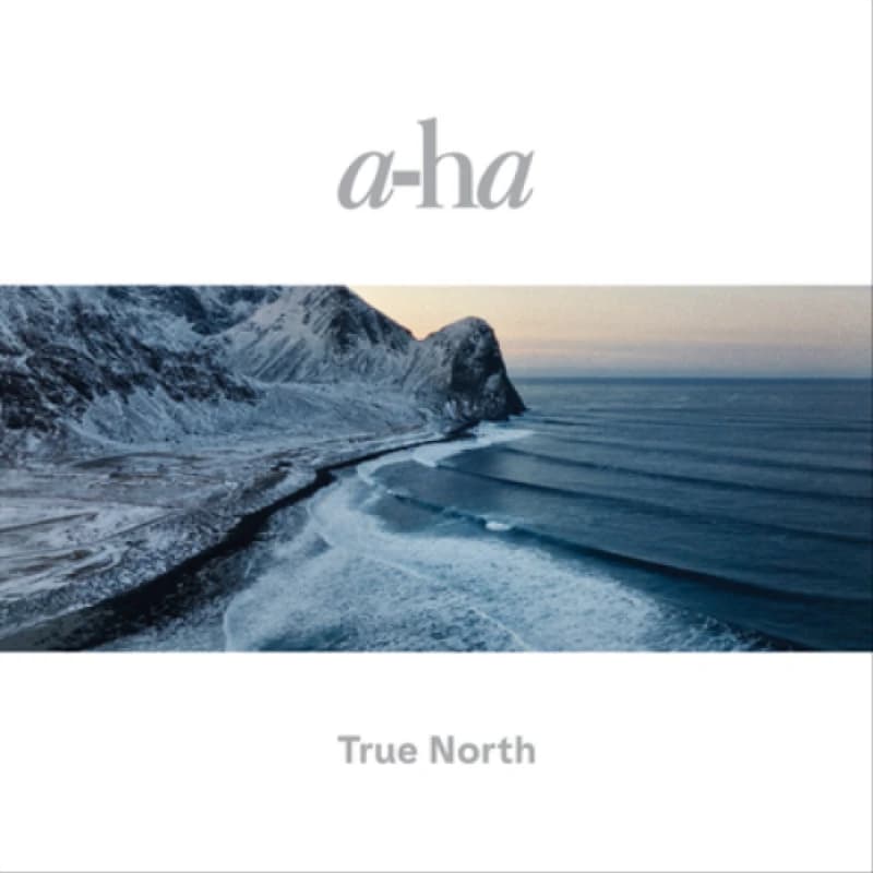 a-ha True North 2LP Black unisex