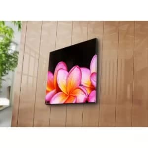 4545K-68 Multicolor Decorative Canvas Painting
