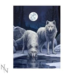 Warriors of Winter 3D Picture