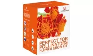 Pollinator Flower Growing Kit - Seed Growing Kit