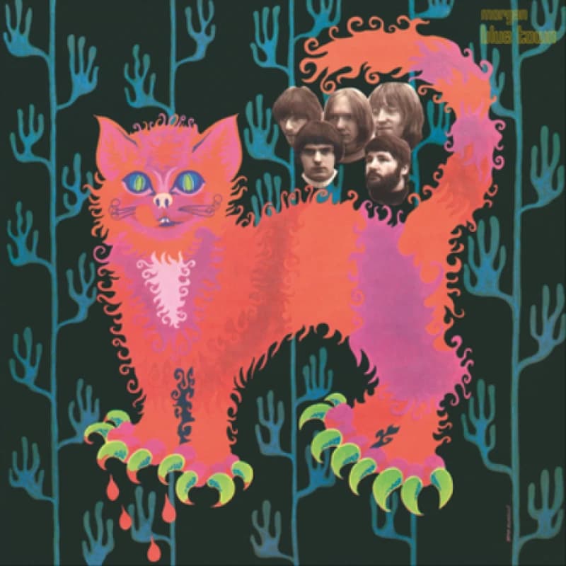 Pussy Plays Vinyl