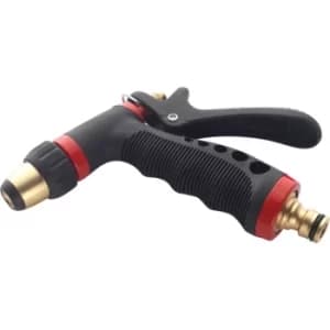 BWF19 Spray Gun