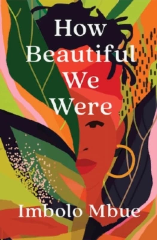How Beautiful We Were Paperback / softback