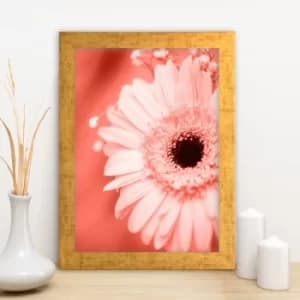AC12535086883 Multicolor Decorative Framed MDF Painting
