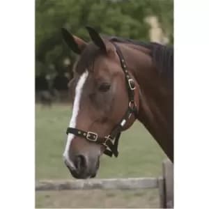 Roma Adjustable Headcollar - Black