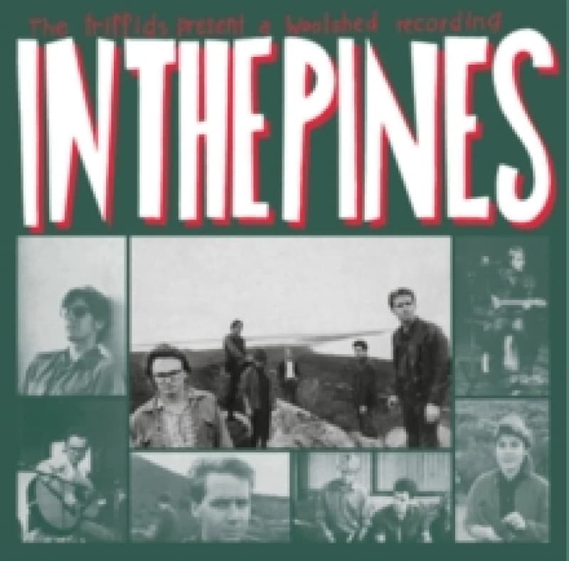 In the Pines Vinyl
