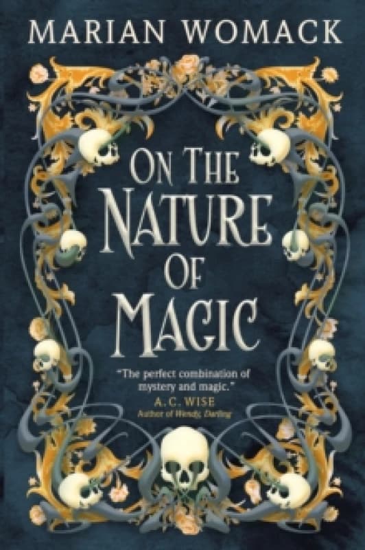 On the Nature of Magic Paperback / softback