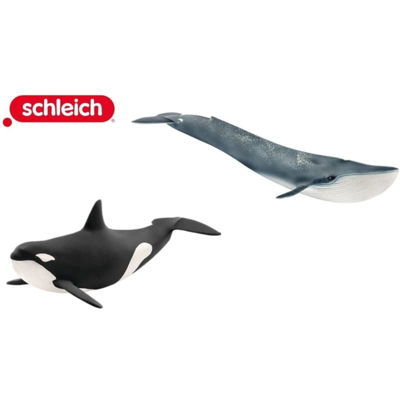Schleich Whale Bundle Multi unisex 000