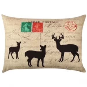 A50933 Multicolor Cushion