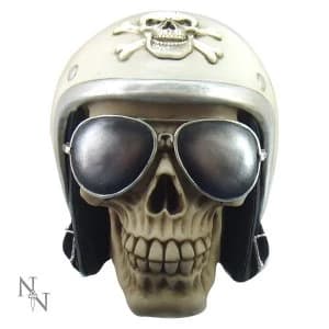 The Authoritarian Skull