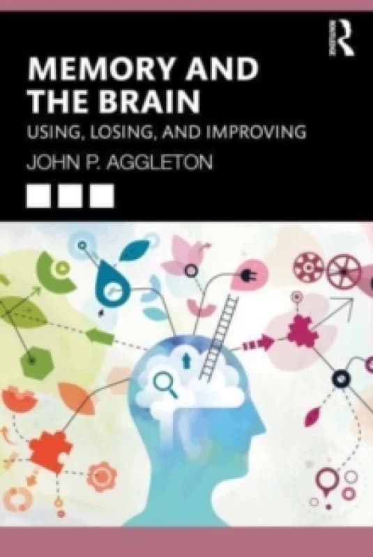 Memory and the Brain : Using, Losing, and Improving Paperback / softback