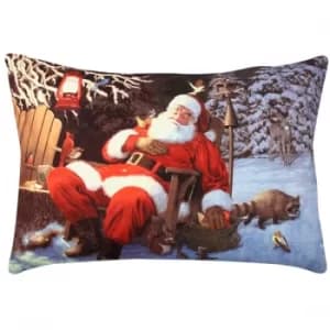 A50916 Multicolor Cushion