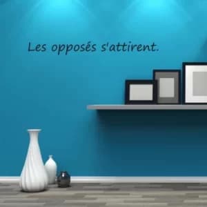 YS3-05 Black Decorative Wall Sticker