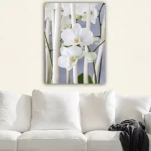 288791672_70100 Multicolor Decorative Canvas Painting