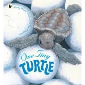 One Tiny Turtle