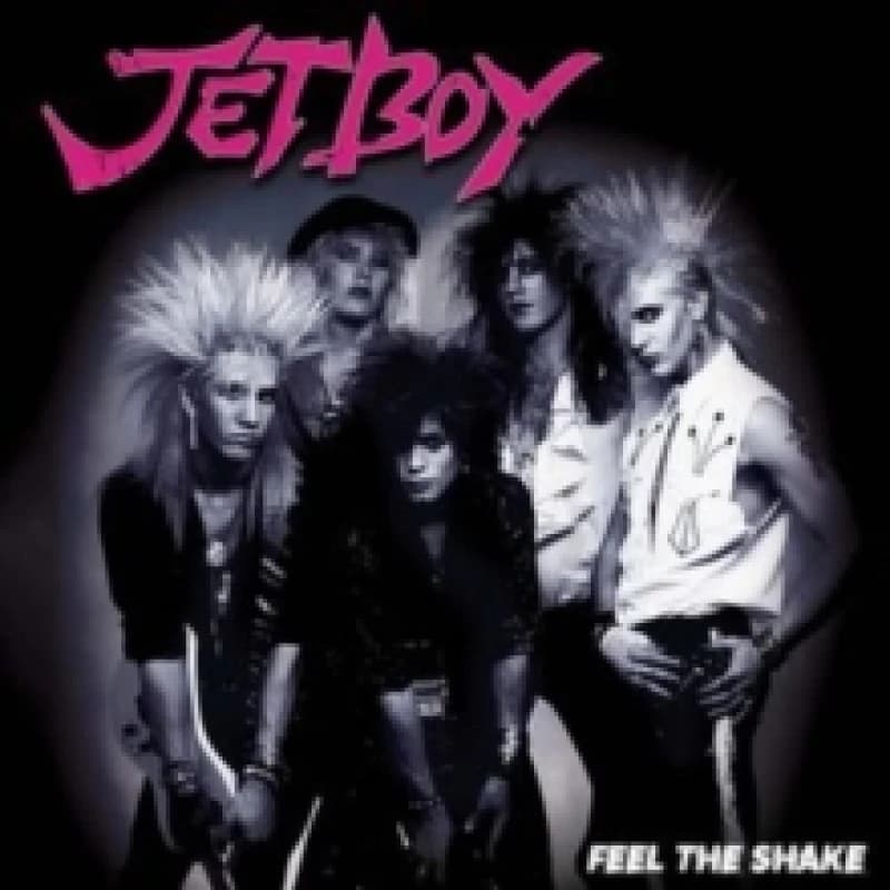 Feel the Shake Vinyl