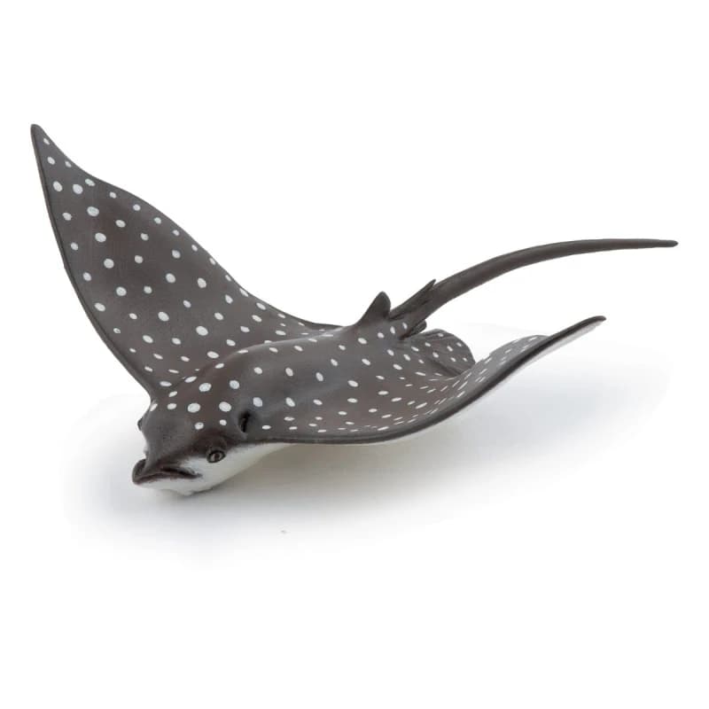 PAPO Spotted Eagle Ray