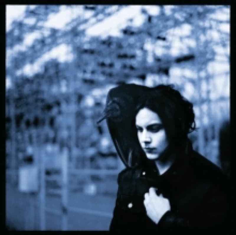 Jack White Blunderbuss LP multicolor Onesize Unisex