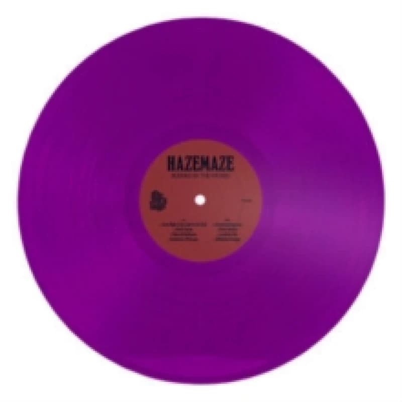 Blinded By the Wicked Vinyl