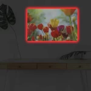 4570DHDACT-078 Multicolor Decorative LED Lighted Canvas Painting