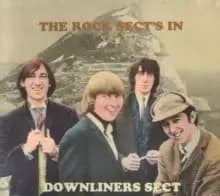 The Rock Sect's In