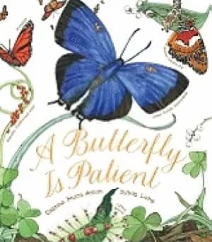 butterfly is patient