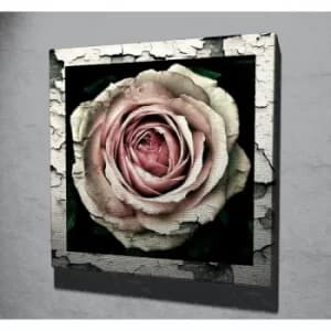 KC047 Multicolor Decorative Canvas Painting
