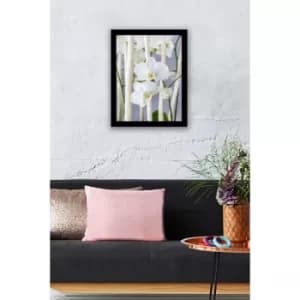 SC0173 Multicolor Decorative Framed MDF Painting