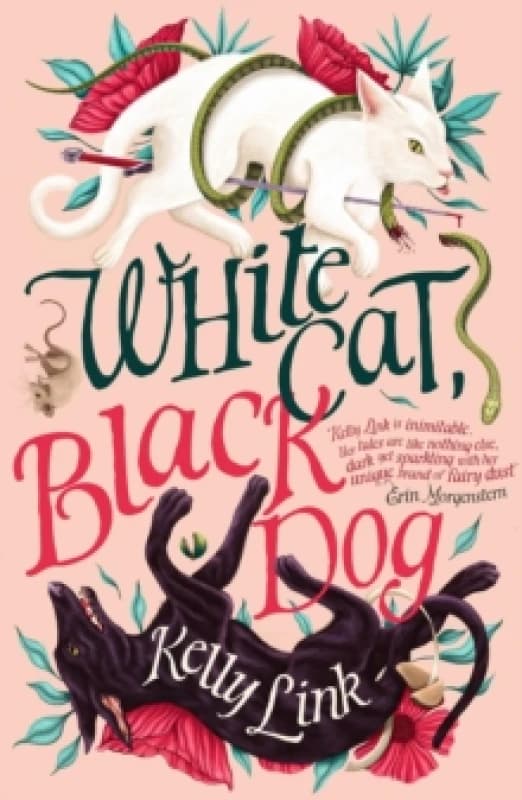 White Cat, Black Dog Paperback / softback