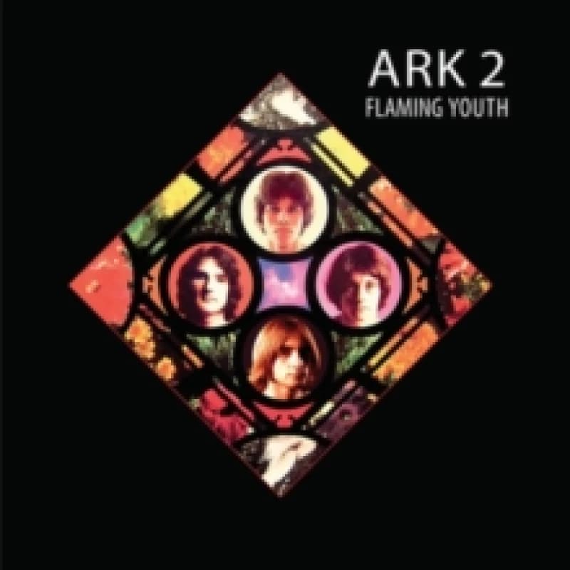 Ark 2 Vinyl