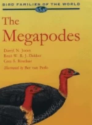 megapodes megapodiidae