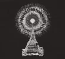 Visions in Bone