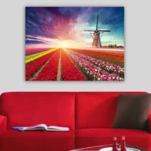 7091488543_70100 Multicolor Decorative Canvas Painting