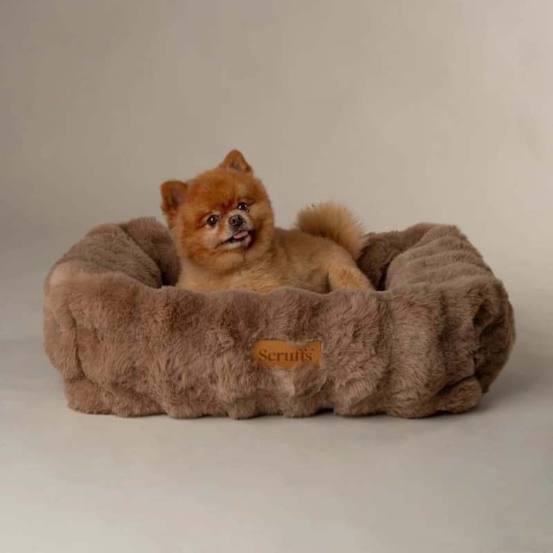 Scruffs Alpine Dog Box Bed Medium Taupe BED/RCD/829702