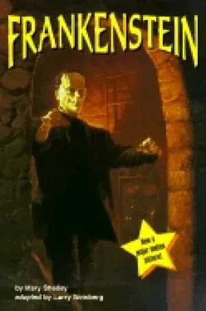 frankenstein a stepping stone book