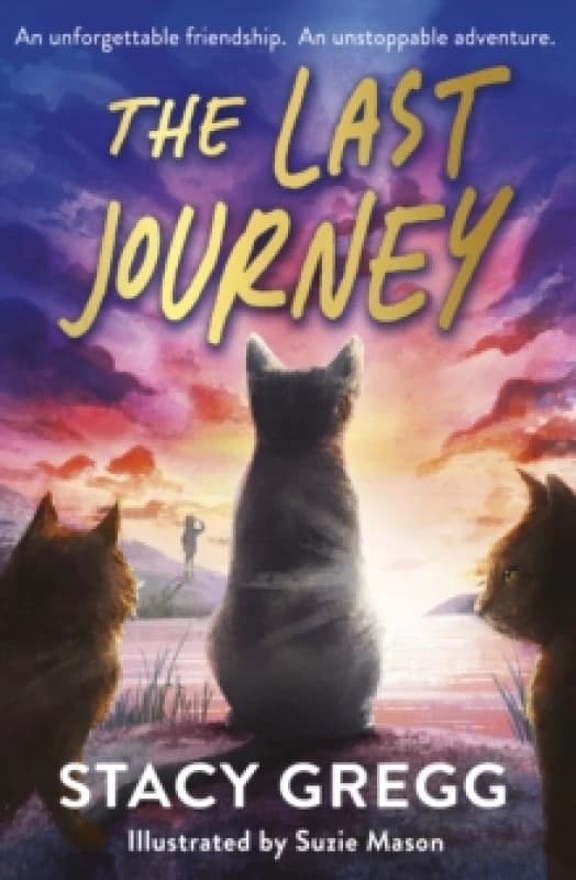 The Last Journey Paperback / softback
