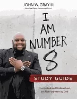 i am number 8 study guide