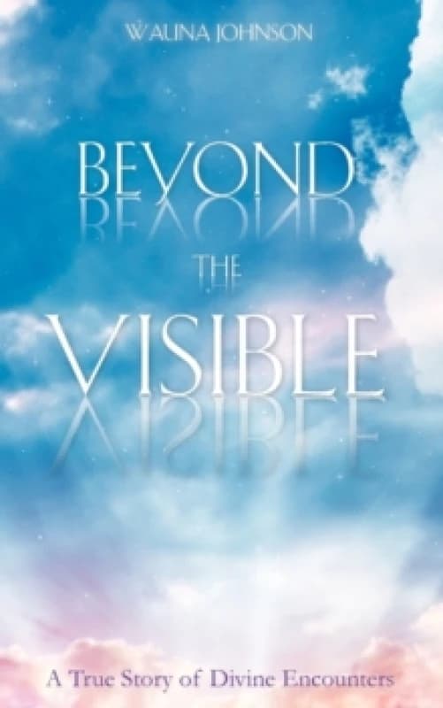Beyond the Visible Paperback / softback