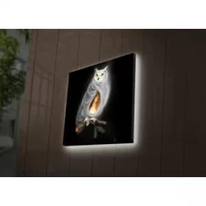 2828DACT-53 Multicolor Decorative LED Lighted Canvas Painting