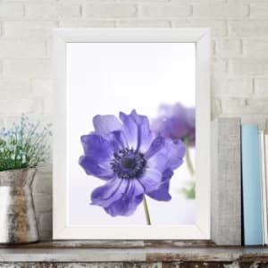 BC1680333021 Multicolor Decorative Framed MDF Painting