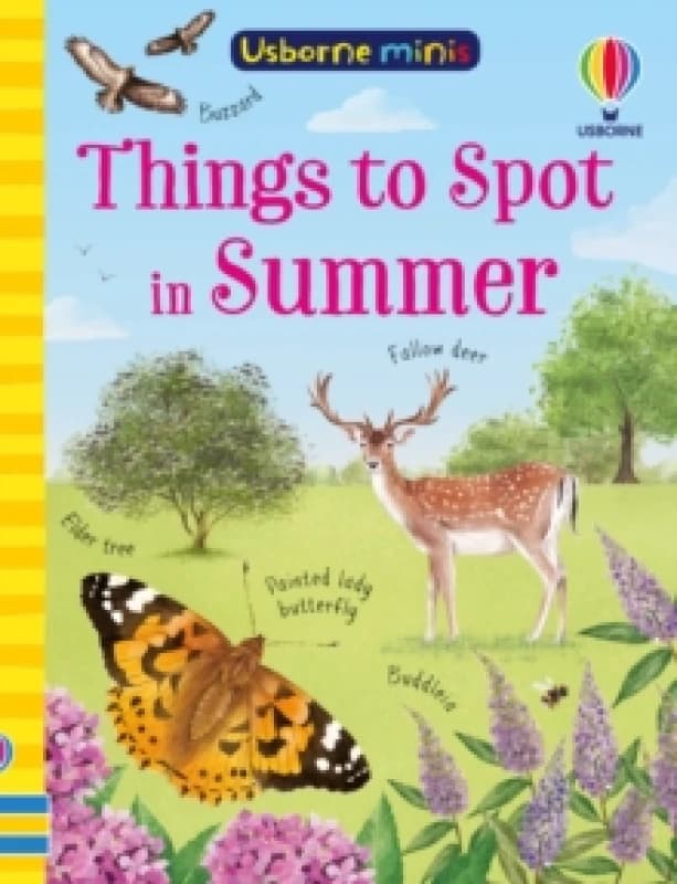 Things to Spot in Summer Paperback / softback
