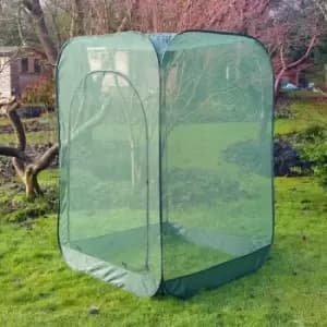 Pop-Up Net Fruit Cage - 1m x 1m x 1.85m High