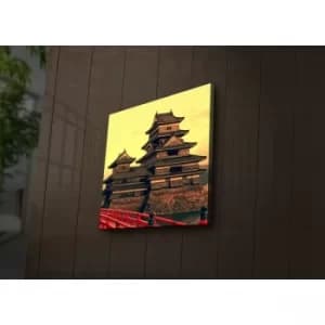 4040?ACT-26 Multicolor Decorative LED Lighted Canvas Painting